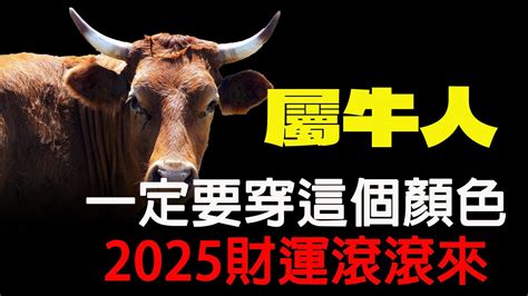 1985屬牛幸運色|85年屬牛人永遠最旺的顏色 白色調整心態